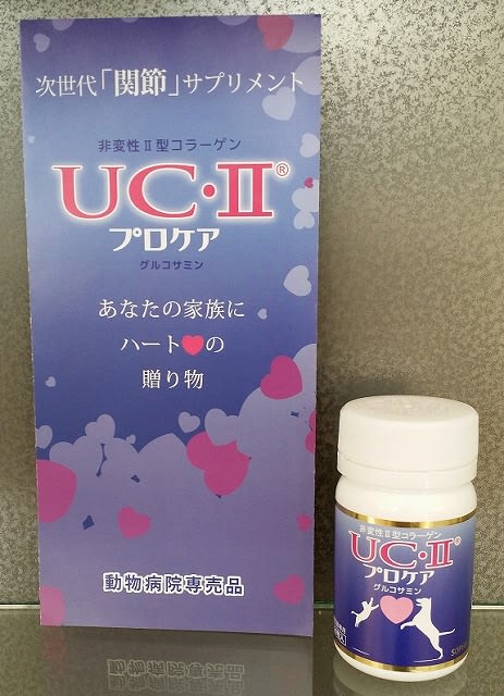 UC=Ⅱプロケア・アミタクリンセミナー＊＊＊ - スウィーティーパイ（Today's Sweetie Pie）