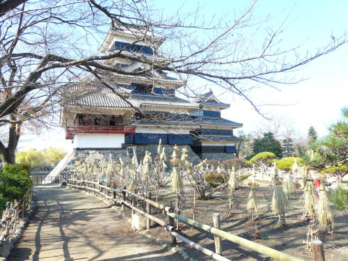 松本城の冬囲い