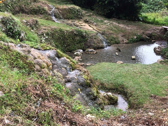 名水百選 垣花樋川 かきのはなひーじゃー 沖縄の史跡と沖縄四季の花