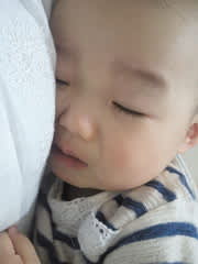 見張りイボ さらささん