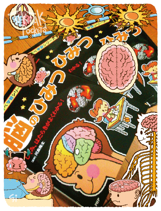 イラスト図鑑 脳のひみつ その3 イラストレーター柴崎ヒロシのブログ