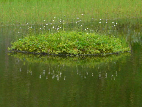 栂池自然園