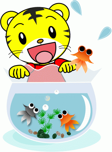 金魚 しまじろう Gif あじさい日記 金魚 しまじろう Gif あじさい日記