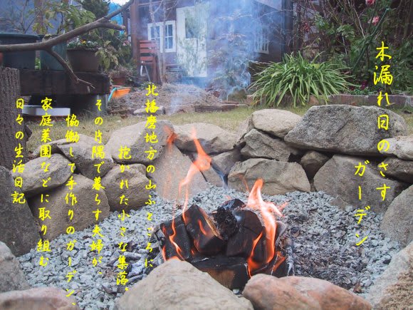 庭に小屋を造る 木漏れ日のさすガーデン