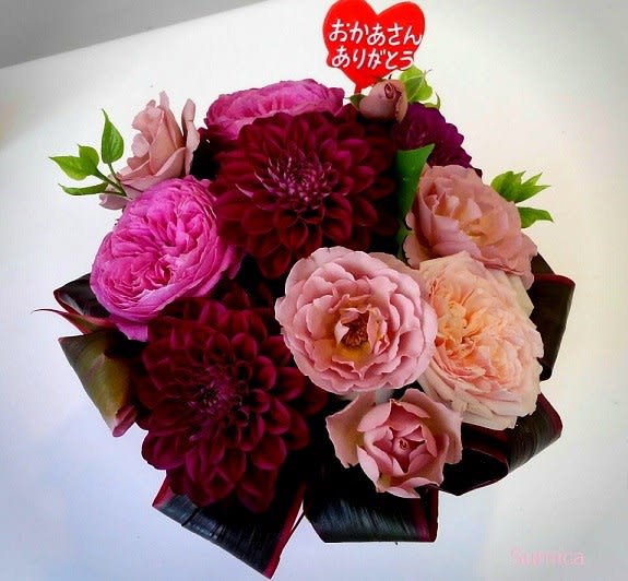 ダリアの花言葉 感謝 ８７純花のブログ