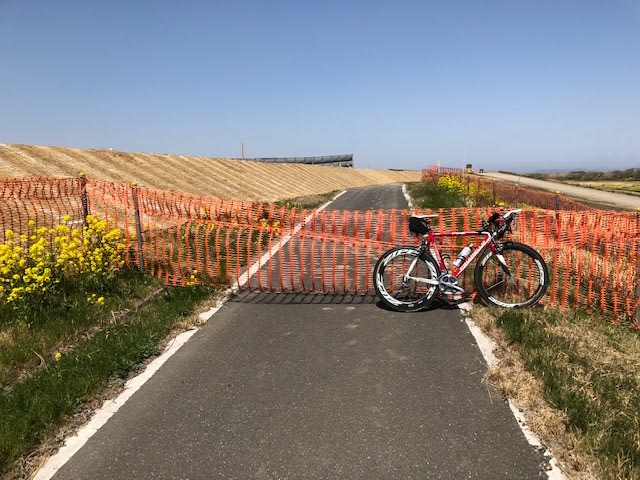 権現堂 関宿城 お花見サイクリング 赤ピナ自転車日記 権現堂 関宿城 お花見サイクリング 赤ピナ自転車日記