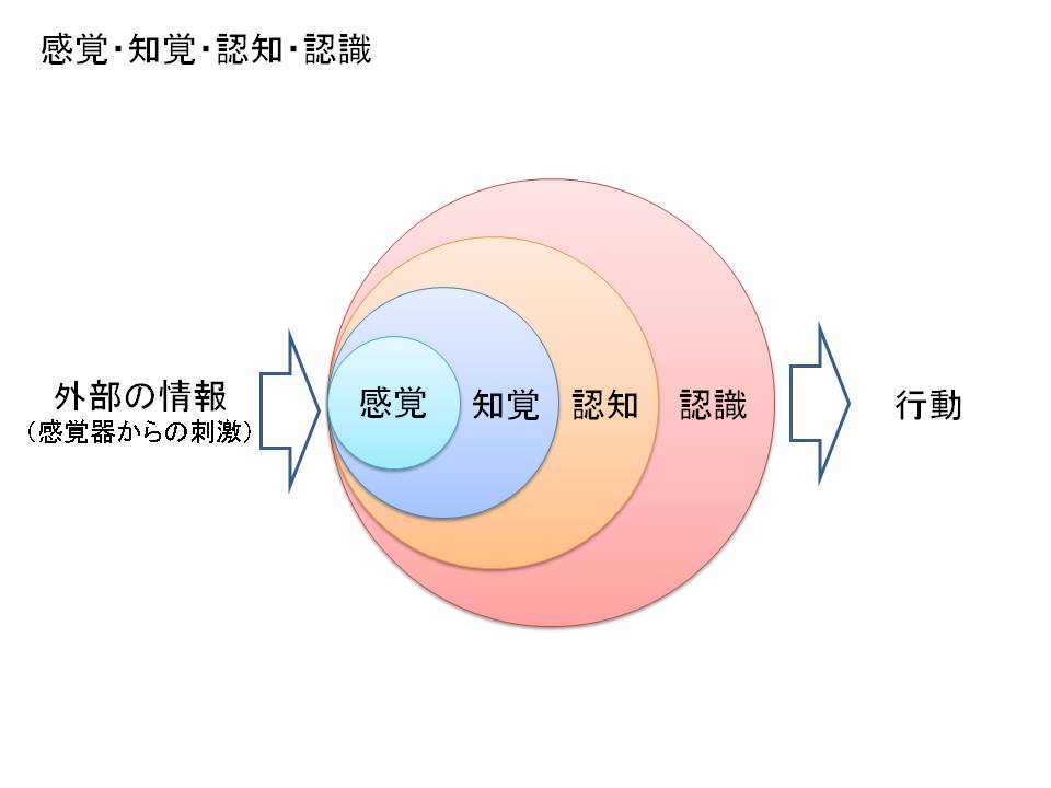認知心理学概論 メモ とめちゃん S 本ログ 認知心理学概論 メモ とめちゃん S 本ログ