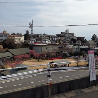 東伊豆町白田温泉郷 梅のお宿 温泉民宿 宮田荘ブログ 東伊豆町白田温泉郷 梅のお宿 温泉民宿 宮田荘ブログ