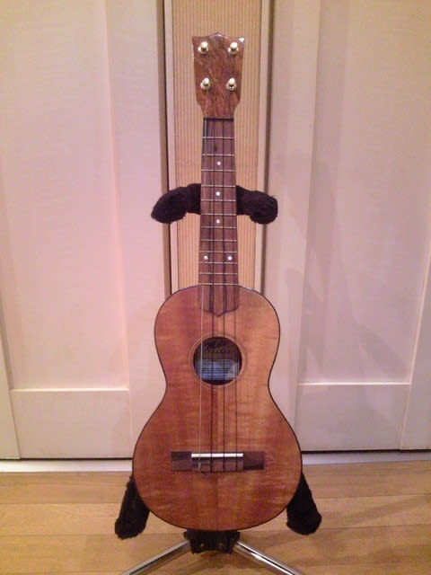 Mele Ukulele Concert - Ukulele Lab Y:tiki