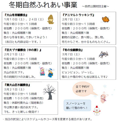 今は無きブナに変わって、新しい巨木を見つけて下さい!(知ってるよ…って人はこっそり教えてくれてもオーケーです。) 今は無きブナに変わって、新しい巨木を見つけて下さい!(知ってるよ…って人はこっそり教えてくれてもオーケーです。)