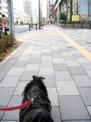 Ｃメール