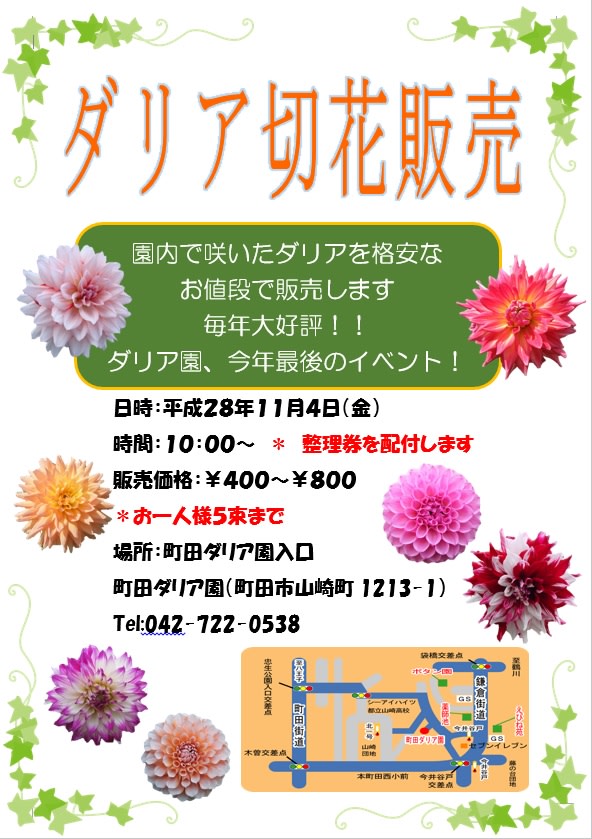 １０月２７日のダリア園の様子と切り花販売 １１月４日 のお知らせです ようこそ 町田ダリア園のブログです