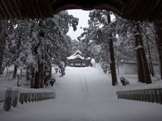 ちゃんと、初詣に行ってきました。道中は寒くても、神社の参道は、風が無くて、暖か（？）かったです。歩いた跡は２つ。（神主さんと、登山者かな？）