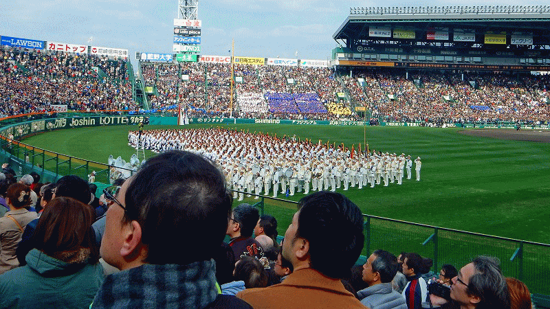 第８８回選抜高等学校野球大会開会式へ 健康自由メモ 高齢者の健康メモ
