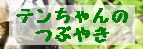 にほんブログ村 その他ペットブログ リクガメへ