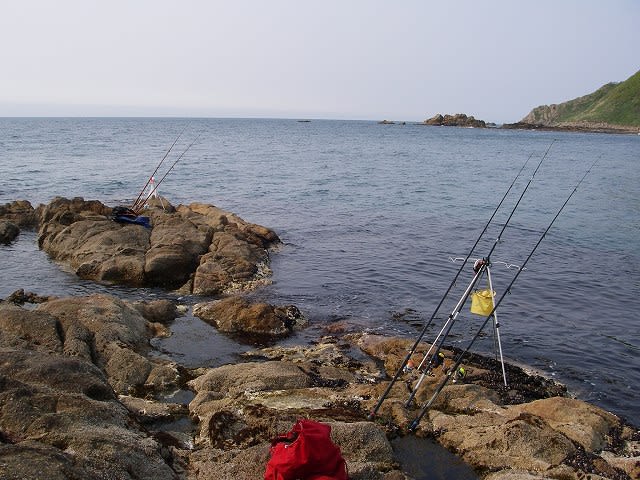 北国岬で大漁の巻 サンフィッシャーの会 活動ブログ