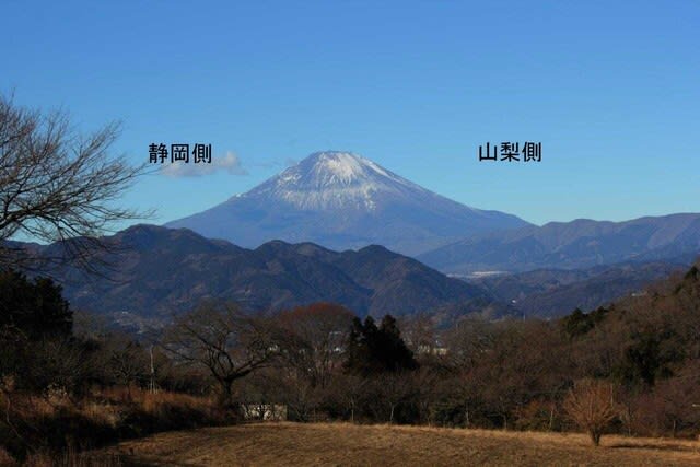 篠窪 しのくぼ から見る 富士山は雪が吹き飛んでいます 21 01 10 篠窪の四季写真 篠窪 しのくぼ から見る 富士山は雪が吹き飛んでいます 21 01 10 篠窪の四季写真