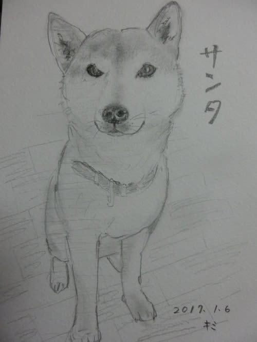 犬の鉛筆イラスト ゴン太郎先生