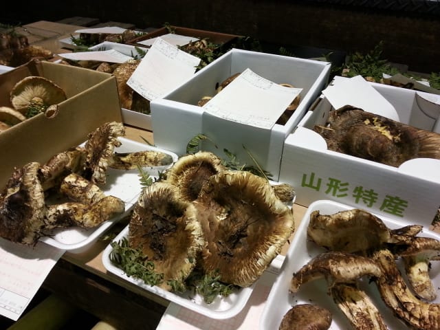 20131015_064700.jpg