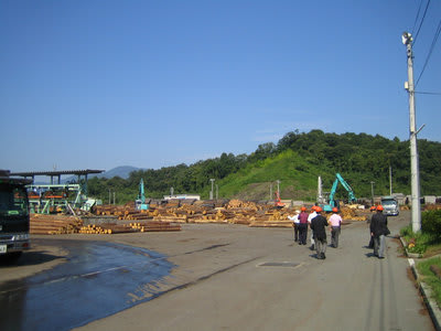 視察