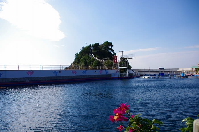 イルカランド 鹿児島の自然と食