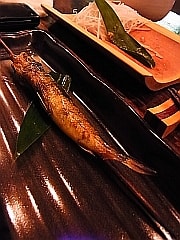 めひかり