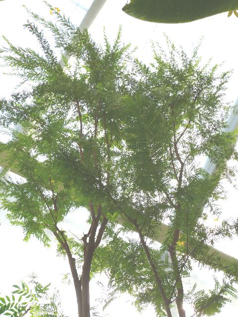 P1460867