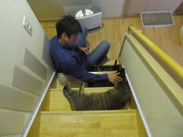 イメージ 1
