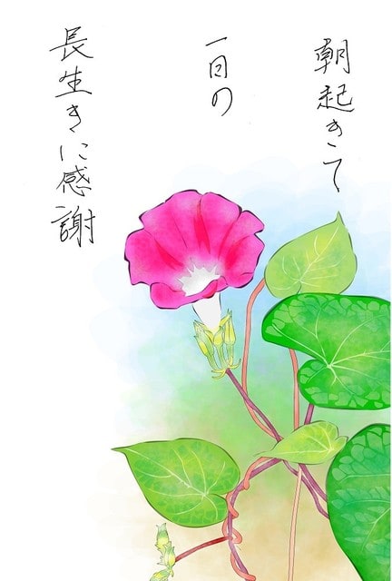 朝顔の絵手紙 パソコン絵手紙