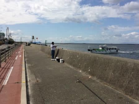 武庫川尻 サヨリ釣り Col S Blog