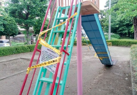 危険な遊具 花好きグランマの独り言