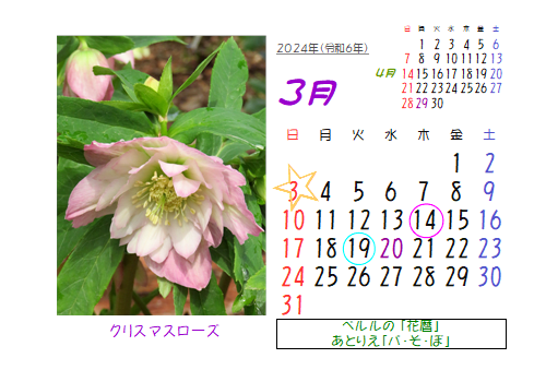 3月の花暦 Goo3