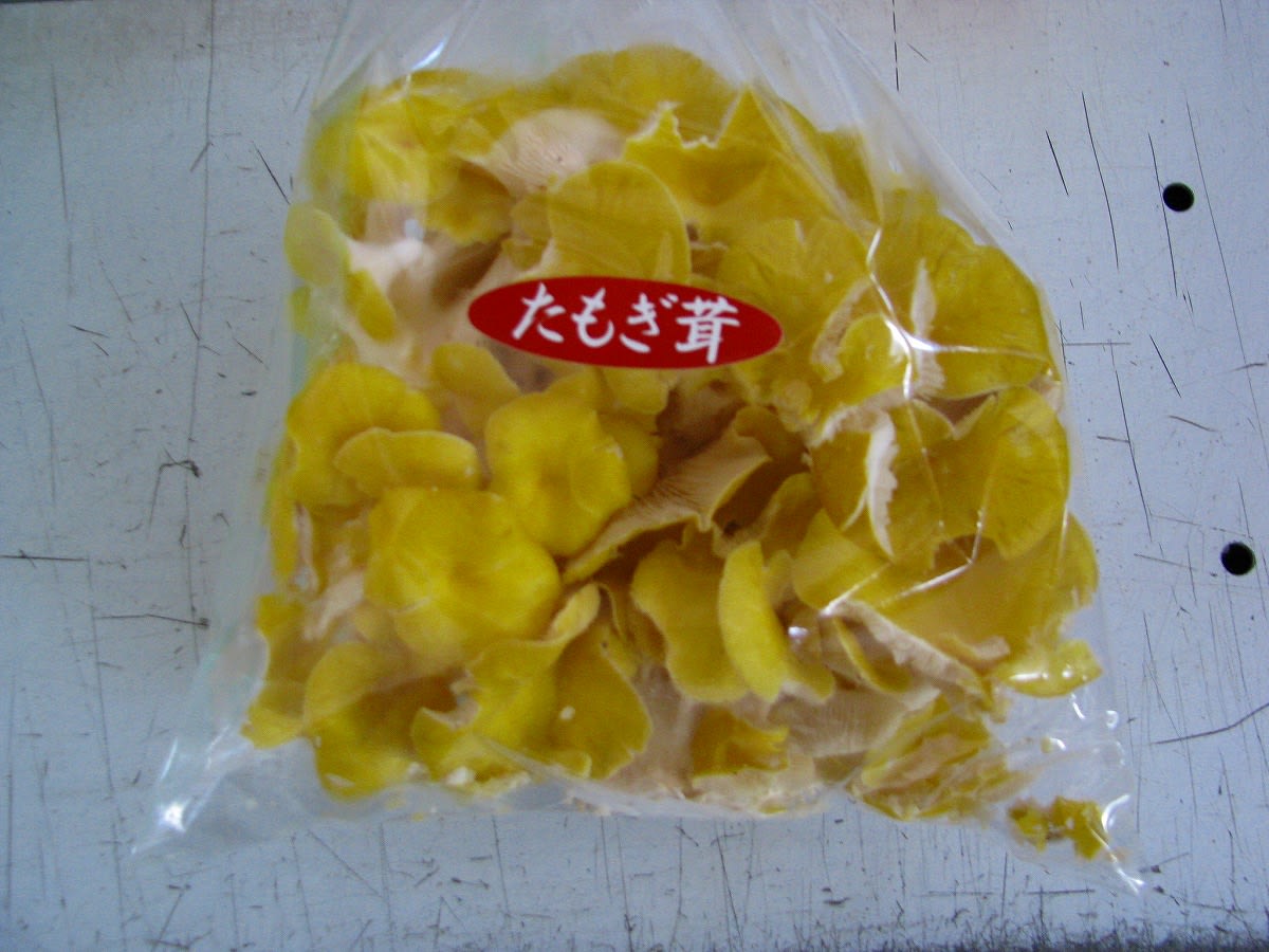 クリックで大きくなります。
