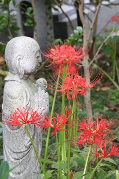 3)曼殊沙華と石仏様 3)曼殊沙華と石仏様