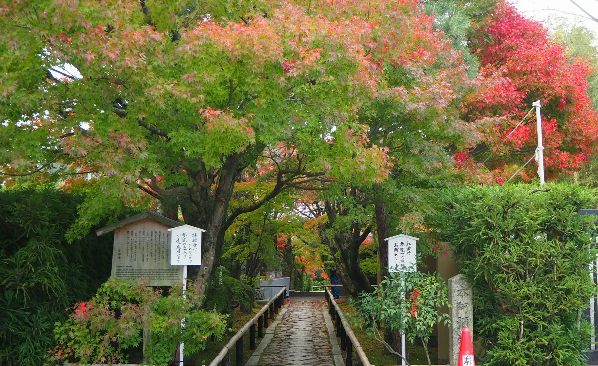 光悦寺 源光庵 常照寺の紅葉 11 14 京都で定年後生活