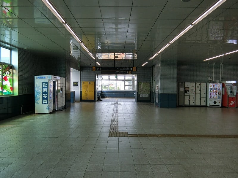 浦和美園駅から下野田 中野田を歩く 咲いた万歩 浦和美園駅から下野田 中野田を歩く 咲いた万歩