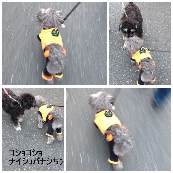 クンクン♪クンクン♪