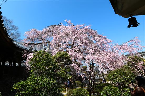 R_20170405OVDK8765.jpg