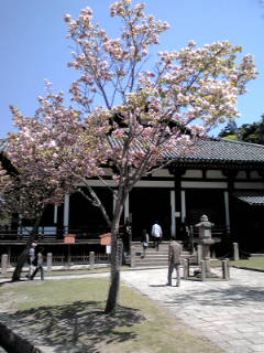 東大寺法華堂