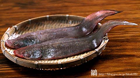 アカシタビラメのアクアバッツァ 鏡面界 魚食系女子の気まぐれ雑記帖