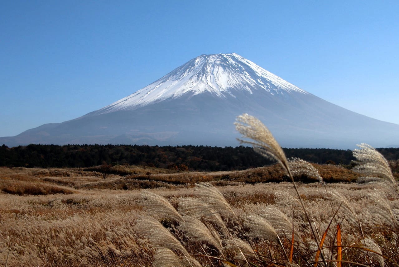 ススキ原と富士山 写真ブログ ずバッと 今日の１枚