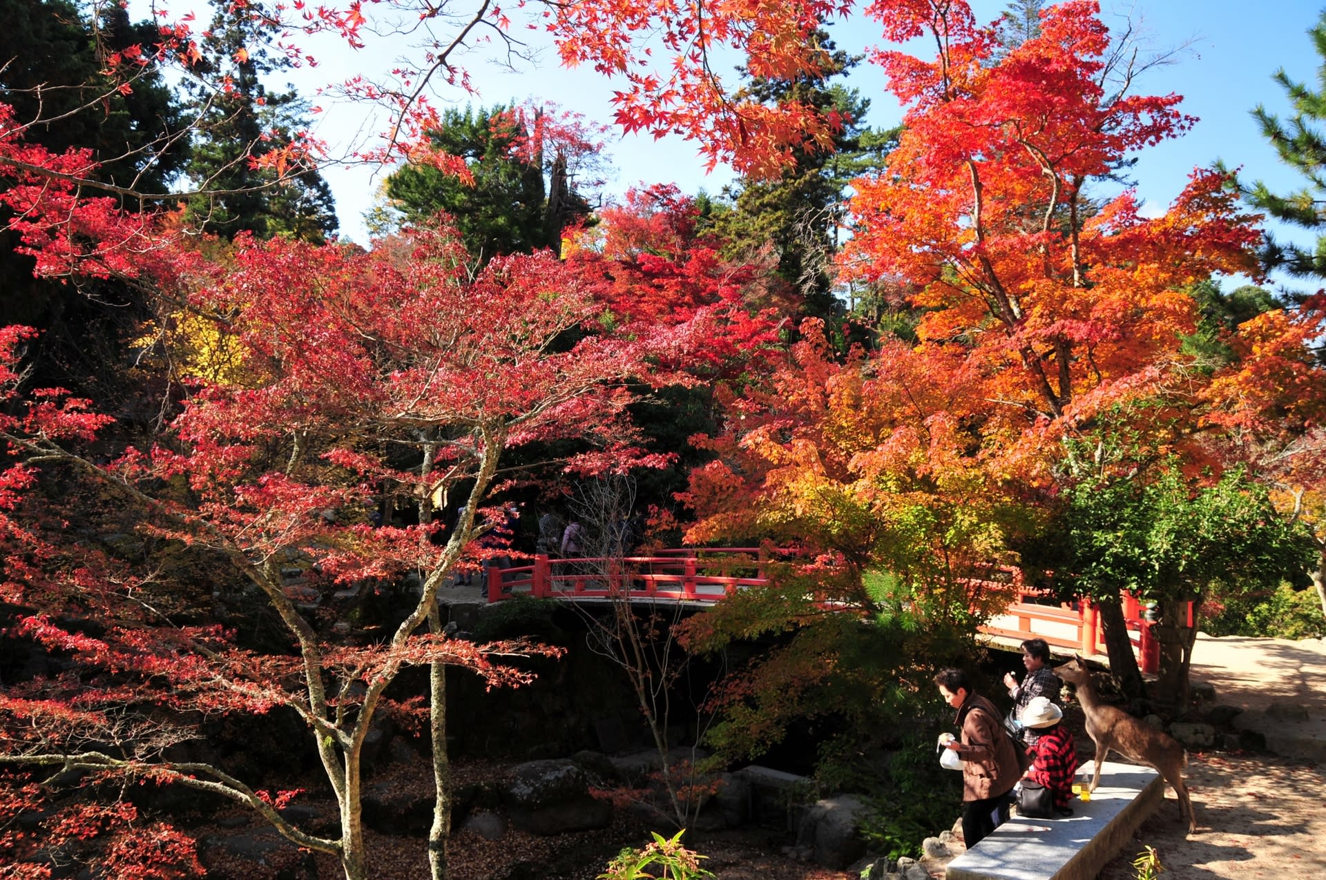 過去の写真 宮島の秋 ５ 綺麗な写真 日々出来事