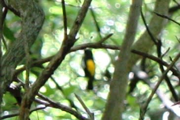 IMG_2863.jpg