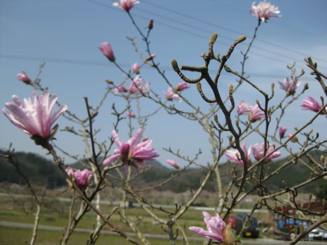 Photo Photo