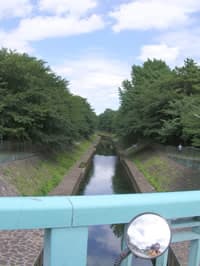 善福寺川緑地公園 尾崎橋の上から 善福寺川緑地公園 尾崎橋の上から