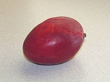 マンゴー食べてかぶれました 主人ですが 美味しい生活 花と戯れて マンゴー食べてかぶれました 主人ですが 美味しい生活 花と戯れて