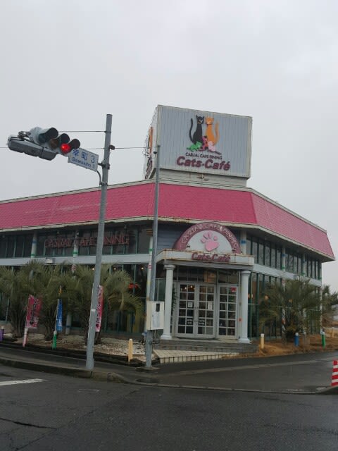 昼下がりのcatsカフェ M19 ネコ缶のカフェメンドライブの旅