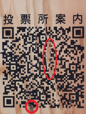 杉にqr 広く浅く