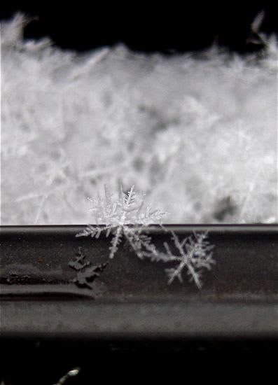 雪の結晶 ｉｓｌａｎｄ日記