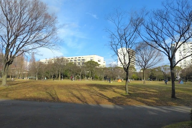 春めいてきた公園 神宮東公園 翡翠庵閑話